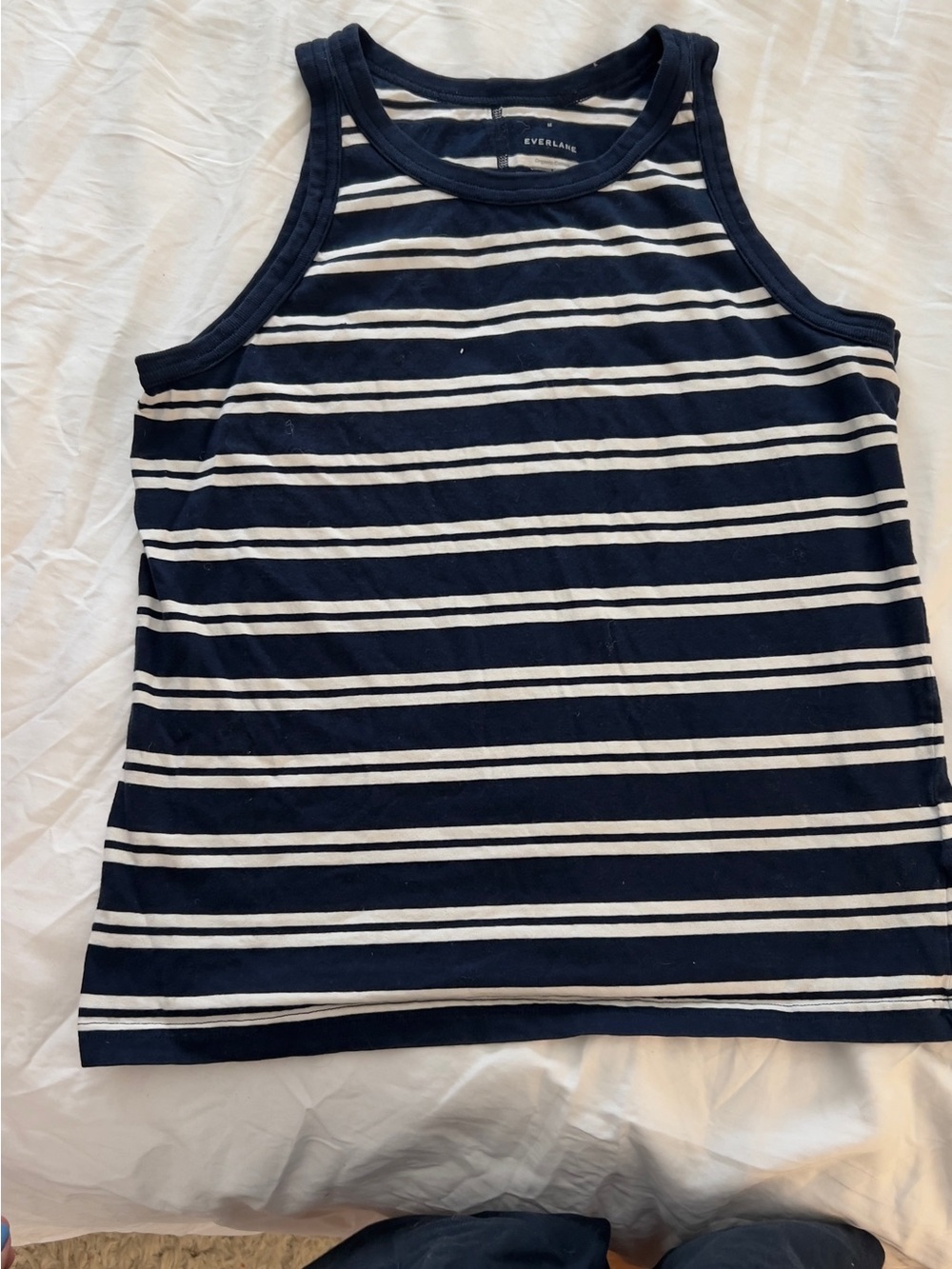 Everlane Navy and White Striped Tee